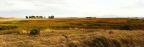Rush Ranch Panorama: 1024x329
