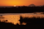 Sunset at Sacramento NWR. Photo by Phil Robertson: 1024x667.98933333333