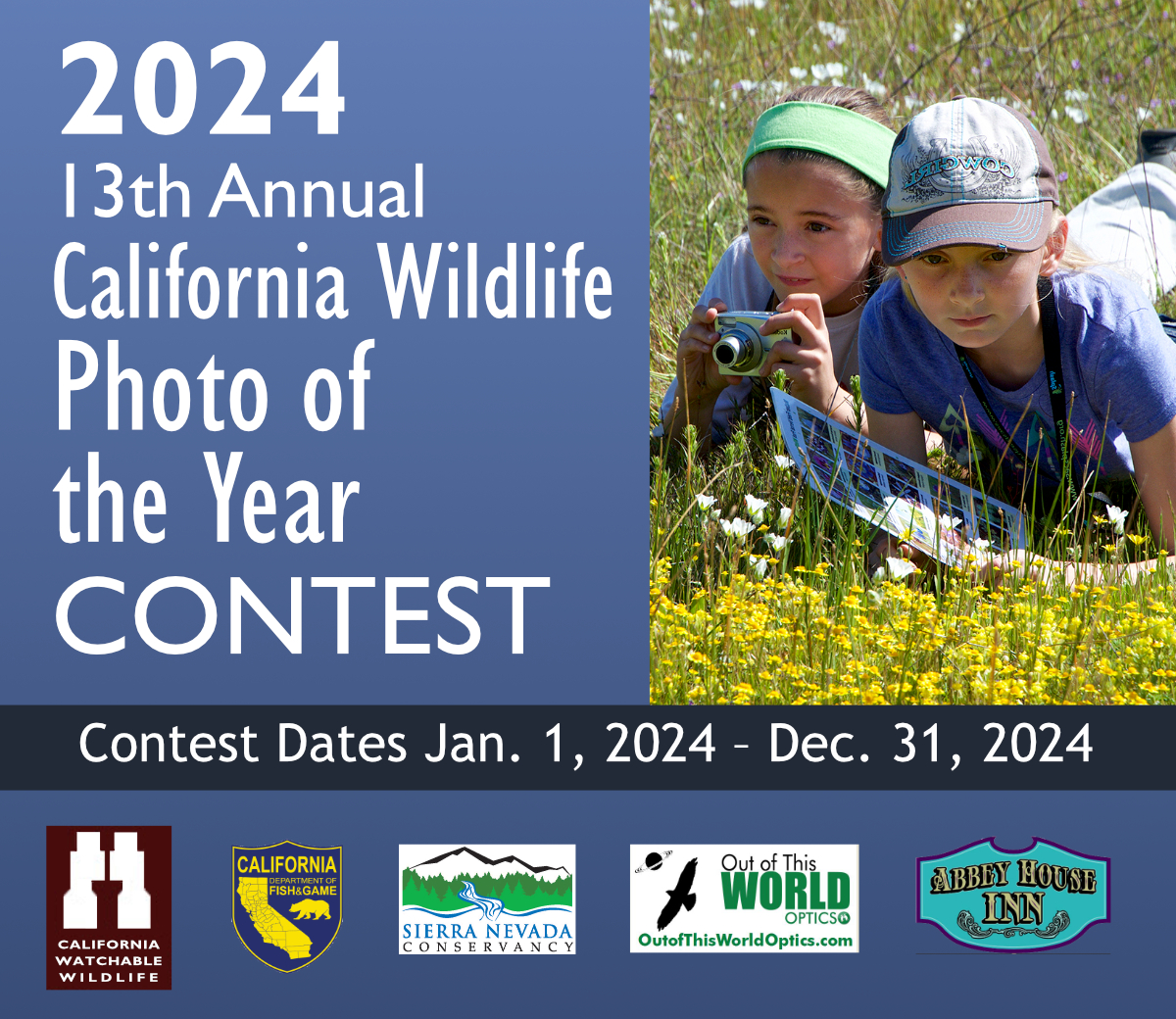 2024 California Wildlife Photo of the Year Contest